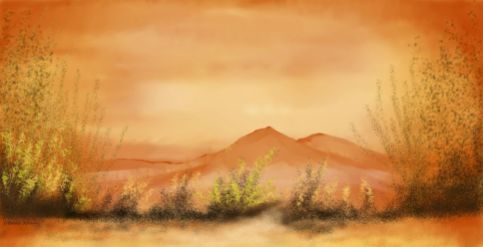 O_Southwestern Desert