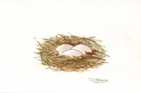 L_Birds Nest