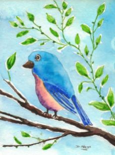 P_Bluebird