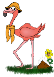 Flamingo odors-2-2