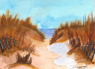 Ocracoke Sand Dunes