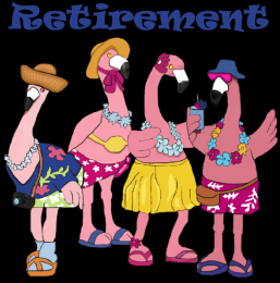 Flamingos-retired-2