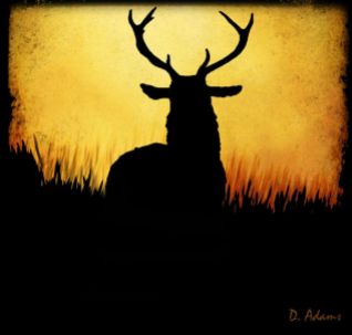 silhouette-deer - Copy