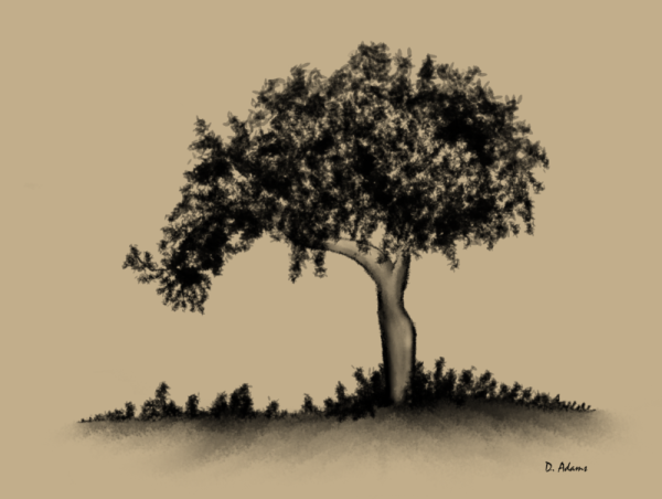 Tree-charcoal-digital-2013-05-02 - Copy