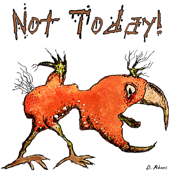 bird-tiny-sq-not today-white-signed