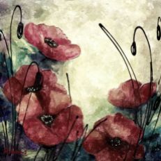 Red Poppies - Copy