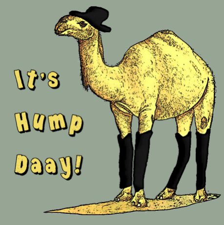 camel-hump-day