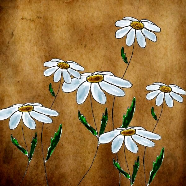daisies-background 1 - Copy