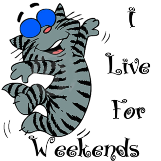 cat-i-live-for-weekends-450