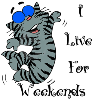cat-i-live-for-weekends-450