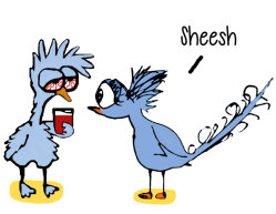 birds-two-drinkingCopy