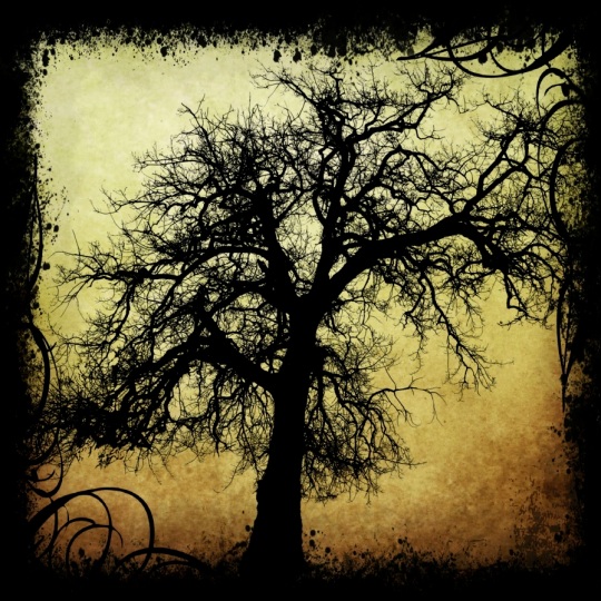 dead-tree